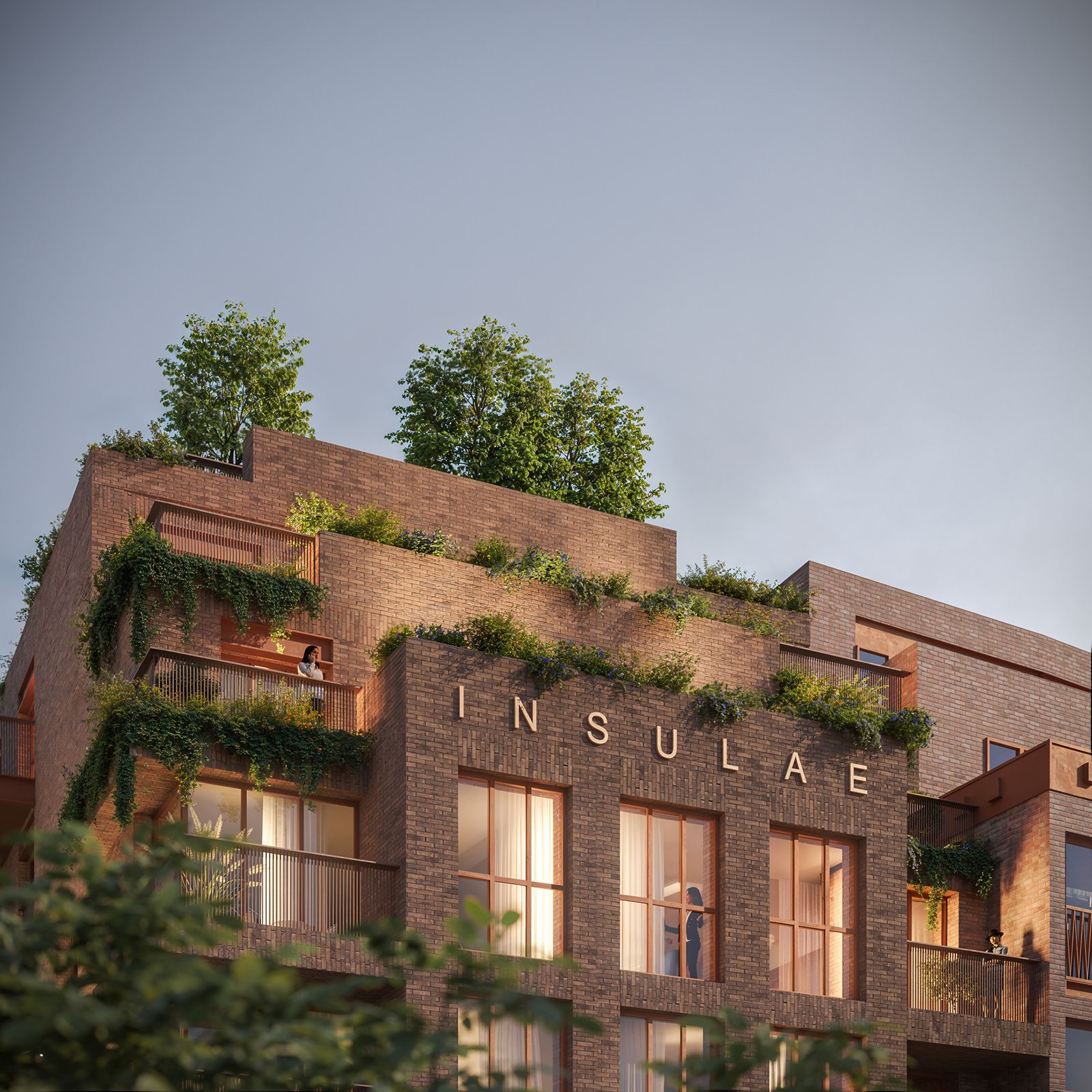 Type Insulae Special